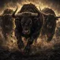 Stampede